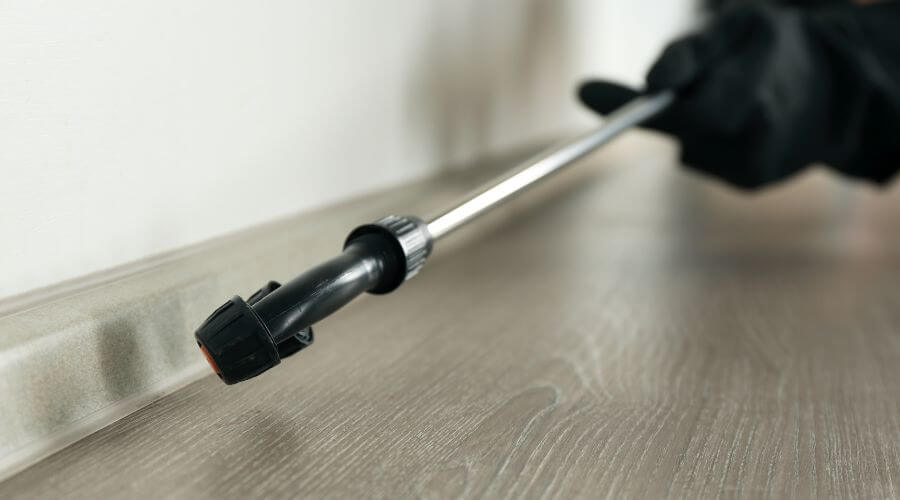 Professional rodent control services greensboro, nc services in Greensboro